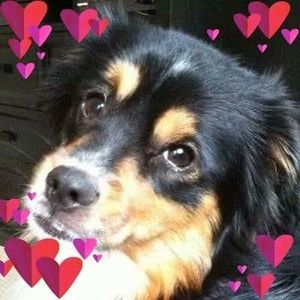 Meet your Posher, Barbara